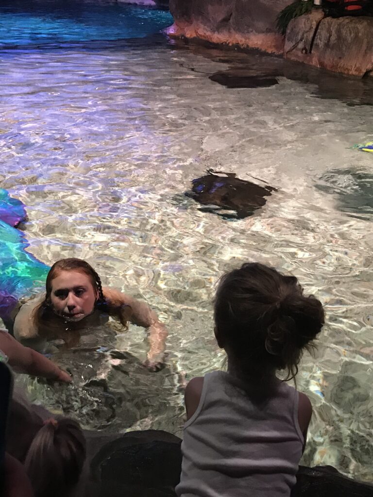 A child watches a mermaid performer in a shallow indoor pool.